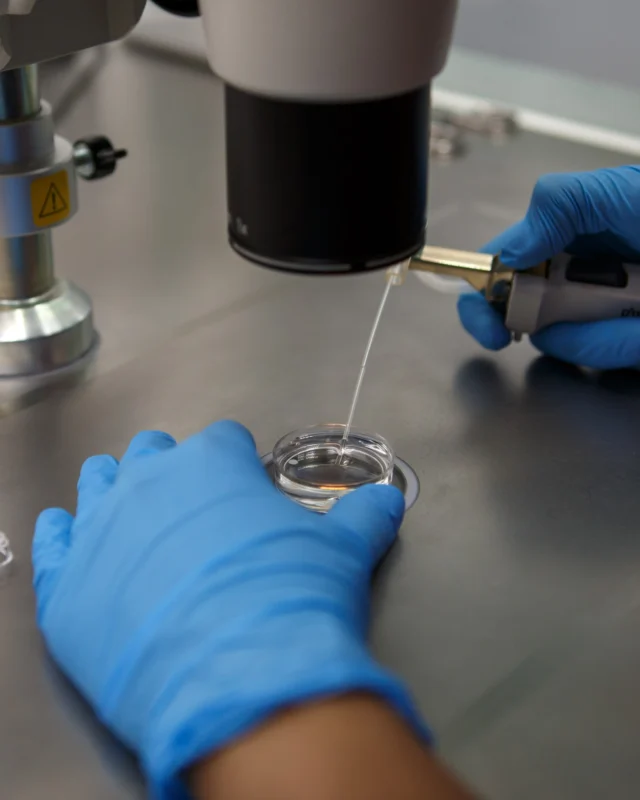 Did you know?

In IVF, “in vitro” means “in glass”, and it’s how fertilisation happens outside the body in a controlled lab environment.🧪

We provide high-quality donor eggs that are carefully selected, vitrified, and safely transported to your chosen IVF clinic. Once the eggs arrive, your clinic will handle the fertilisation process to create embryos.

💛 We help Australians to easily access quality donor eggs to realise their dreams of parenthood, and provide the support you need for a successful IVF journey. See more about the process at https://centralivf.com.au.

#centraleggbank #eggdonation #eggdonationaustralia #eggdonoragency #eggdonoragencyaustralia